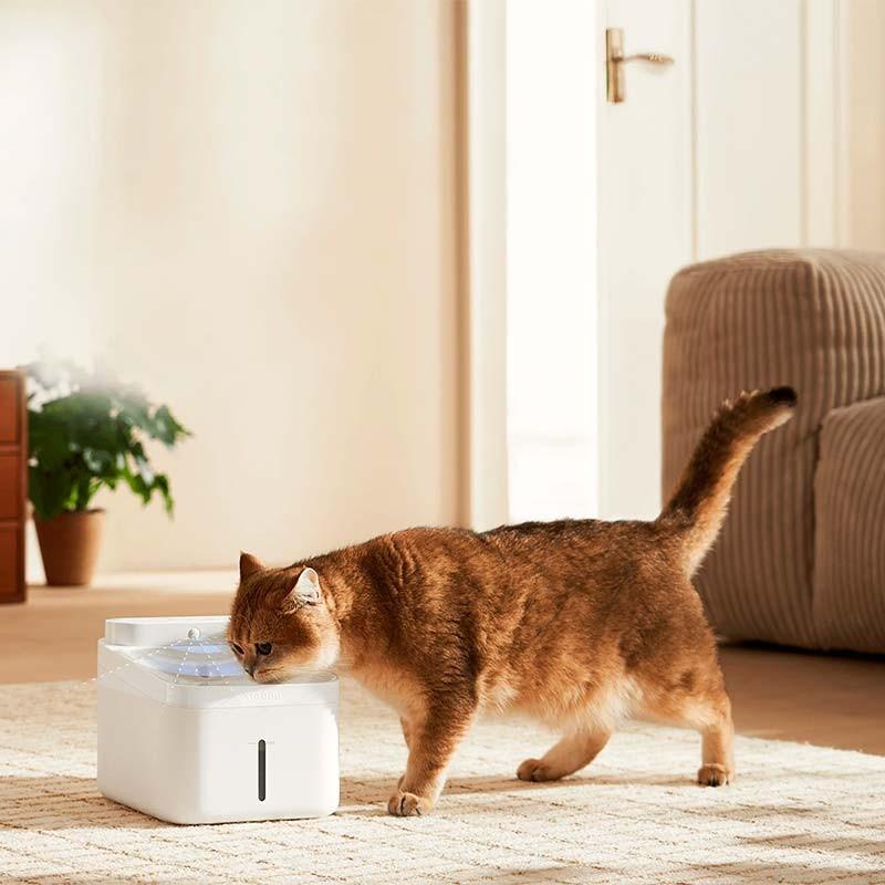 Xiaomi Smart Pet Fountain 2 - modo inteligente